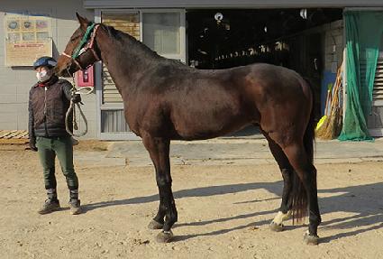 ����Ƽè�� ����