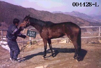 ����� ����