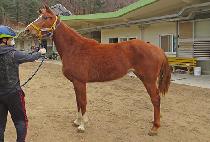 ���ķ�� (MODERN CAMP) ����