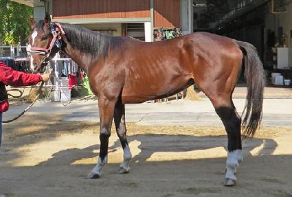 ������� ����