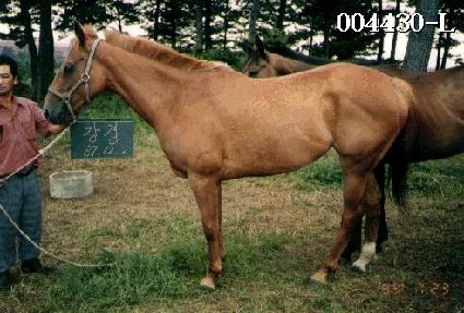 ���� ����