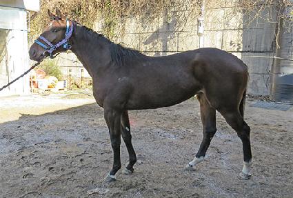 ��ƶ�̹� ����