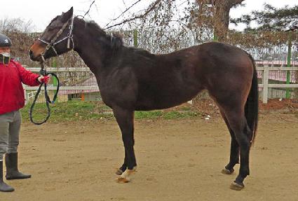 ����Ǯ������ ����