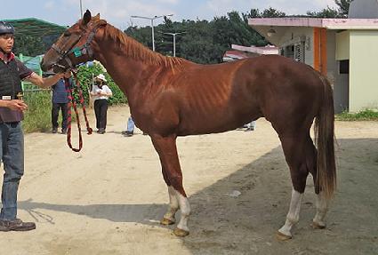 ����Ǯ���� ����