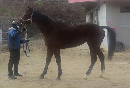 �����̾����� ����