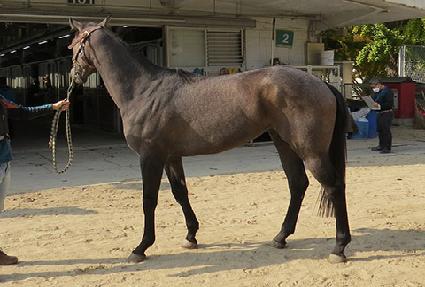 �۵��� ����