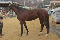 �̳��ǽ� (INNER PEACE) ����