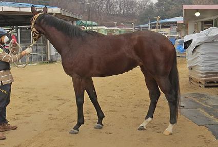 �̳��ǽ� ����