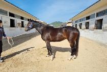 ��Ʈ���ö��� (INTRA FLYING) ����