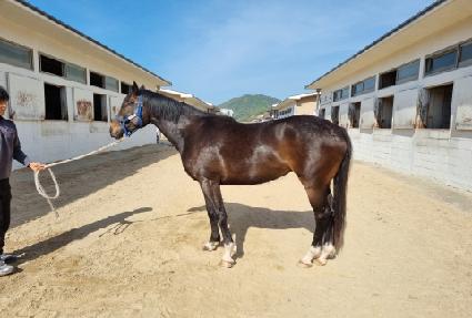 ��Ʈ���ö��� ����