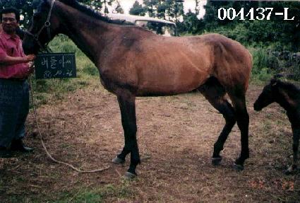 ����ƾ� ����