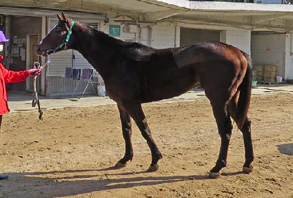 ����ǺҲ� ����