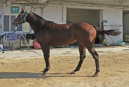 �����Ǻ� ����