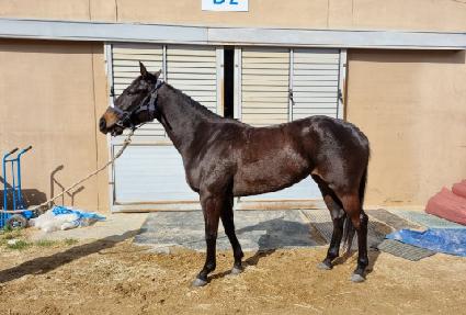 ��������ġ ����