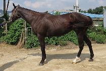 �������� (NB JEONSA) ����