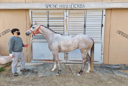 ���̽��Ƹ�ī ����