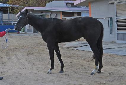 ��ġ�� ����