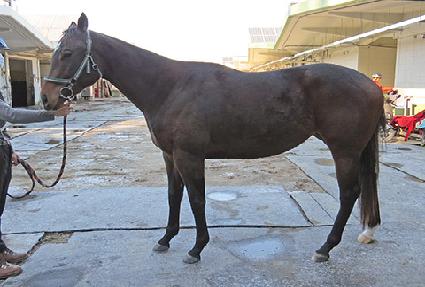 �۾ϵ巡�� ����