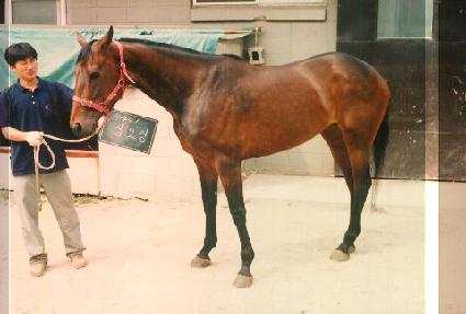 ����� ����