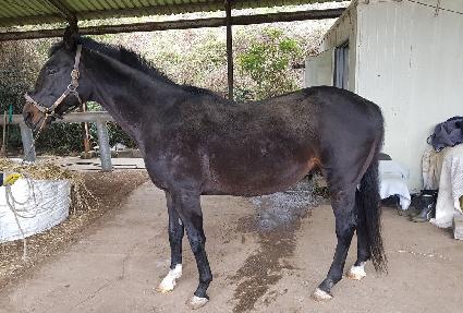 ������ųʸ� ����