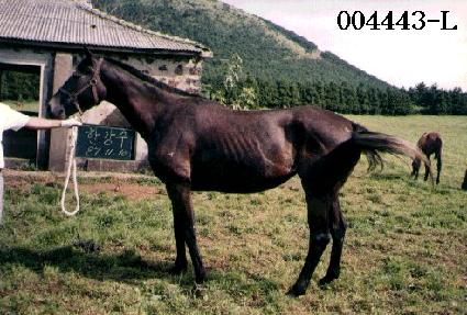 �Ѱ��� ����