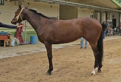 ���Ǽ����� ����