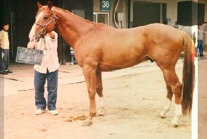 �������� ����