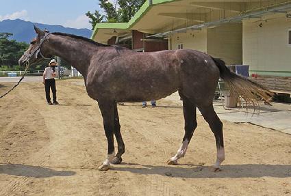 �ö��׾��׳� ����