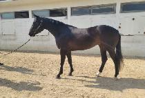 �Ƹ��ٿ��ο� (AREUMDAUN INYEON) ����