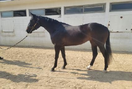 �Ƹ��ٿ��ο� ����