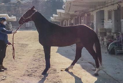 ŷ�Ƴ� ����