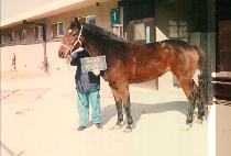 �ɱ� (NEUNG GEUM) ����