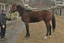 �ͽ���Ʈ (EXPECT) ����