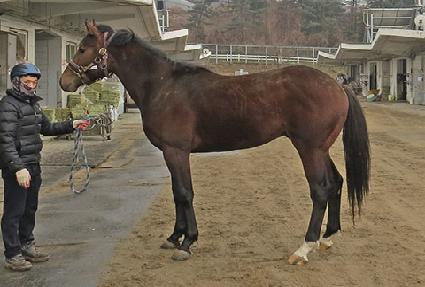 �ͽ���Ʈ ����