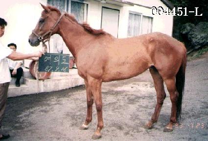 ���ǵ� ����