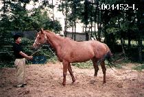 ū�� (KEUN BYEUL) ����