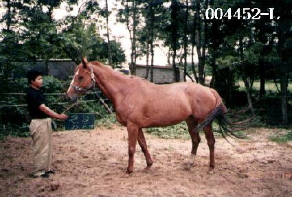 ū�� ����