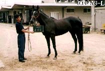 �渲�� (GIL LIM SEUNG) ����