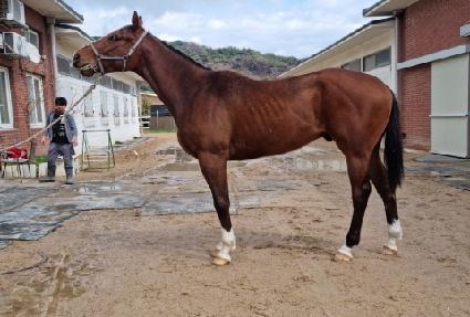 ǻ����� ����