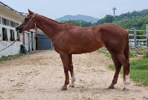 ����ķ�� (MAGIC CAMP) ����