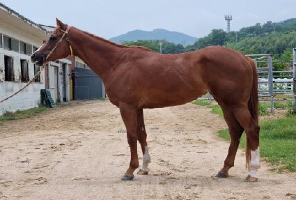 ����ķ�� ����