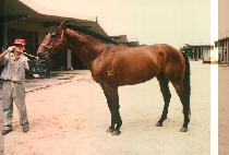 ���з� (EMILLE) ����