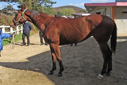 ���̽����� ����