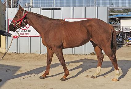 ���Ӱ�õ ����