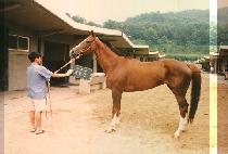 ���޻� (YU DAL SAN) ����