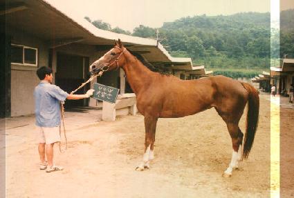 ���޻� ����