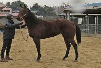 ���ǹ� (QUICK SILVER) ����