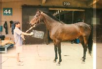 �ȵ����� (PAL DO GANG SAN) ����