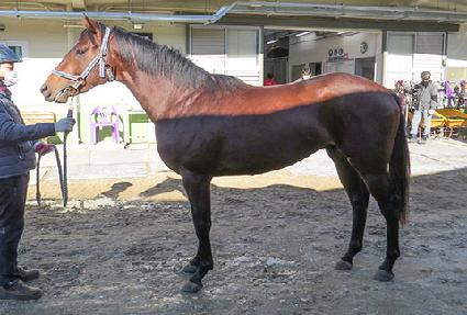 �ε��� ����