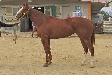 ���ǹ� ����